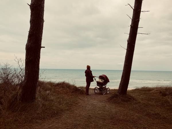 Dzika Róża Lubiatowo