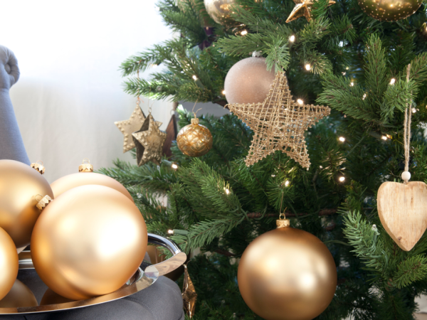 Pensjonat Willa Pienińska