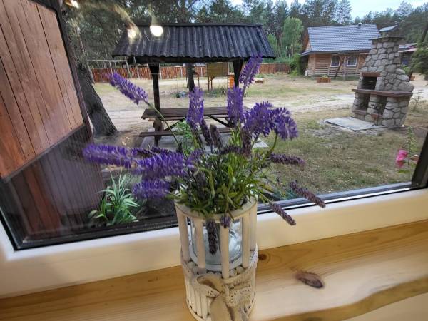 Lawendowy widok z okna