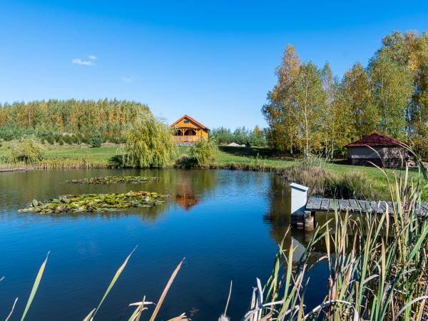 Domek osobowy i staw o pow 0,5 ha