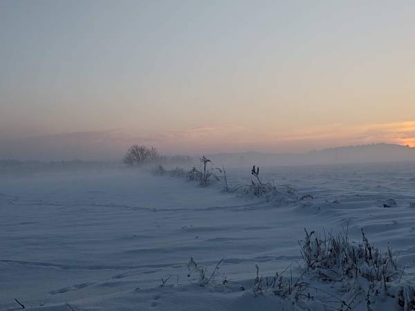 Folwark Pod Bukowcem