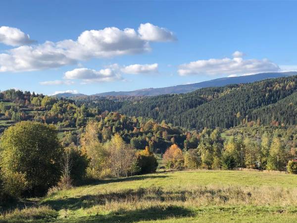 Chata U Ali - Noclegi Milówka, Żywiec