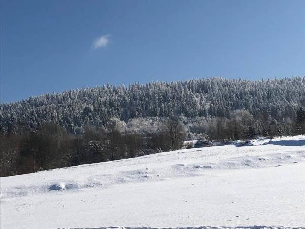 Chata U Ali - Noclegi Milówka, Żywiec