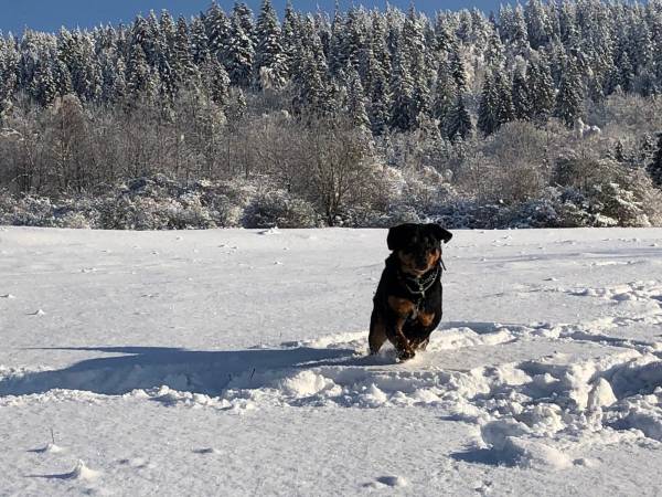 Chata U Ali - Noclegi Milówka, Żywiec