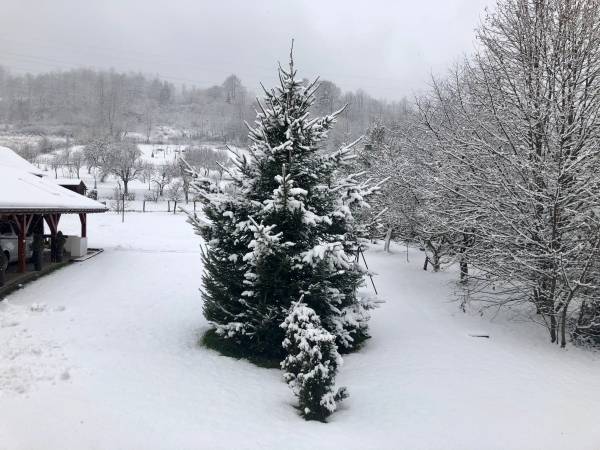 Chata U Ali - Noclegi Milówka, Żywiec