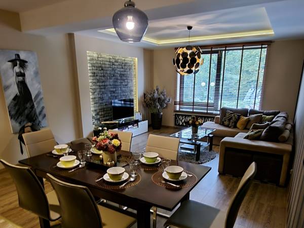 Apartament 2 - salon