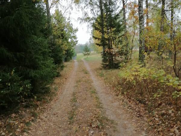 Miodowy Domek na Mazurach