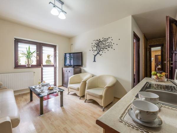 salon w apartamencie 