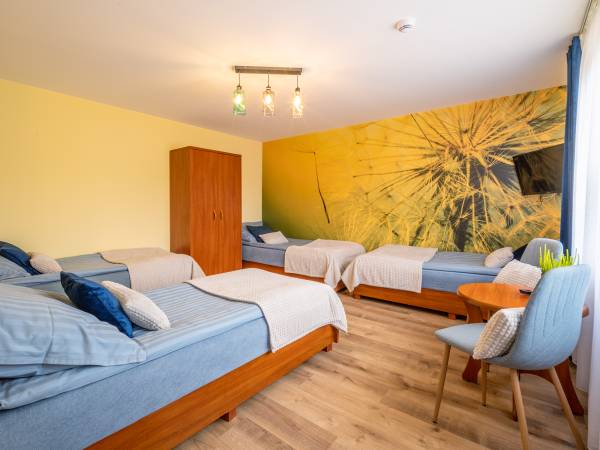 Pokoje Gościnne Zamiejska