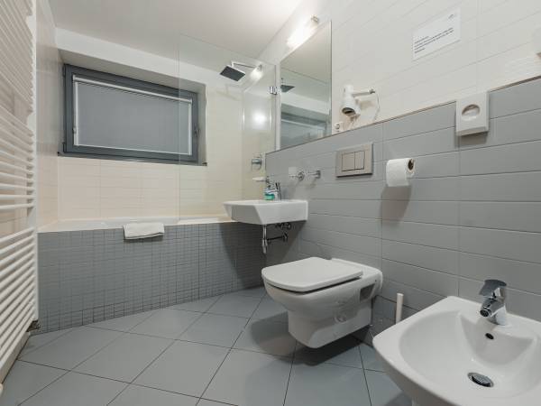 Górskie Wille Poľana