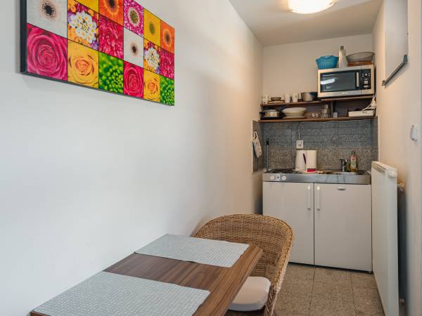 Górskie Wille Poľana