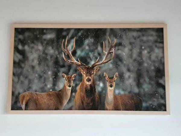 Domki na Wzgórzu - Słońce i Woda