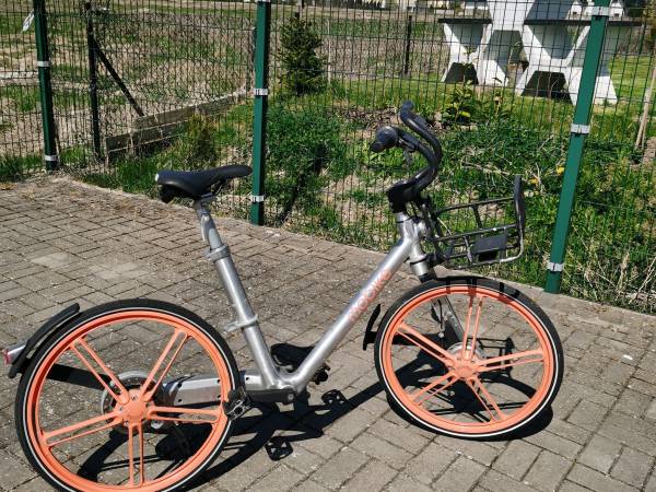 Domki Letniskowe Margo