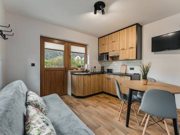 pokój dzienny apartament 2-4 os.