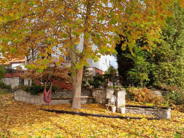 Taki widok - tylko kilka dni w roku!