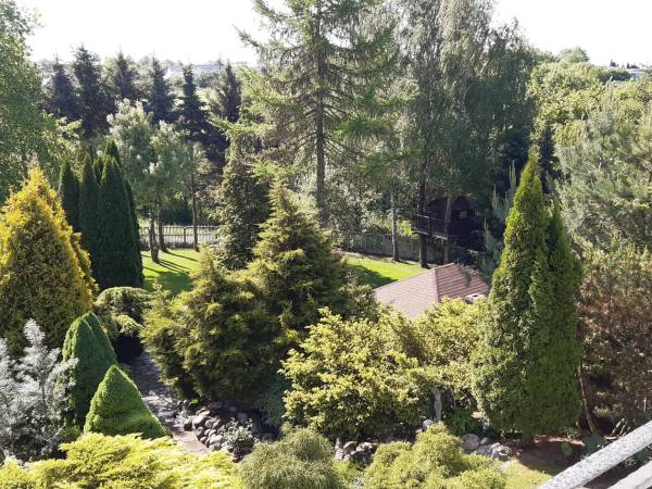 ogród w porannym, majowym slońcu