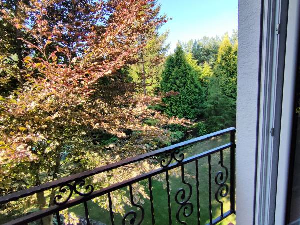 za oknem pokoju rózowego