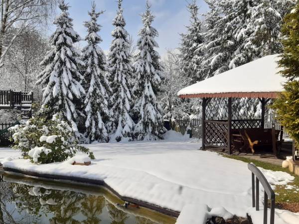 basen - idealne warunki dla MORSÓW