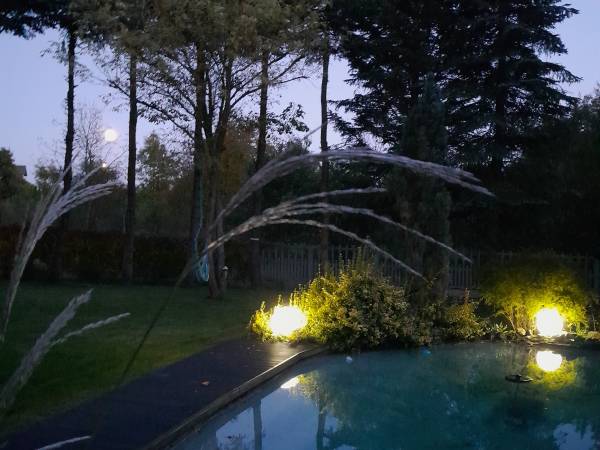 nastrojowe światło uzupełnione pełnią księżyca