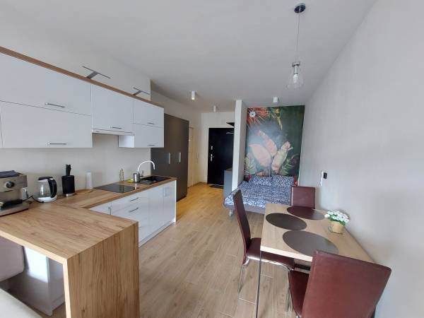 Apartament pod Dębowcem 