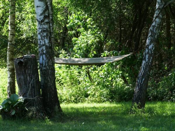 Agroturystyka Poziomka