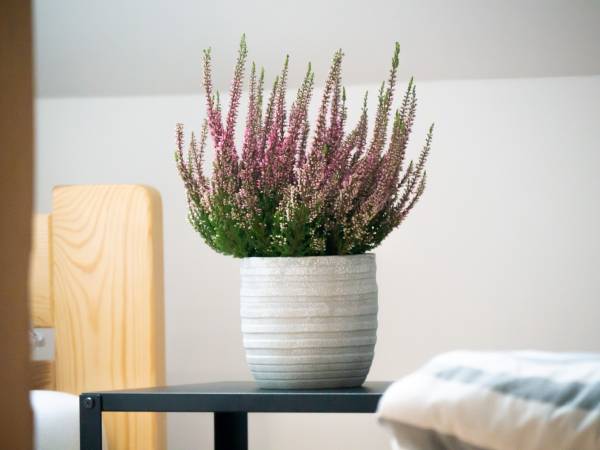 Agroturystyka Wola Zarczycka