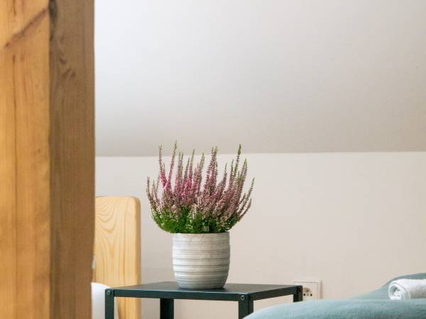 Agroturystyka Wola Zarczycka