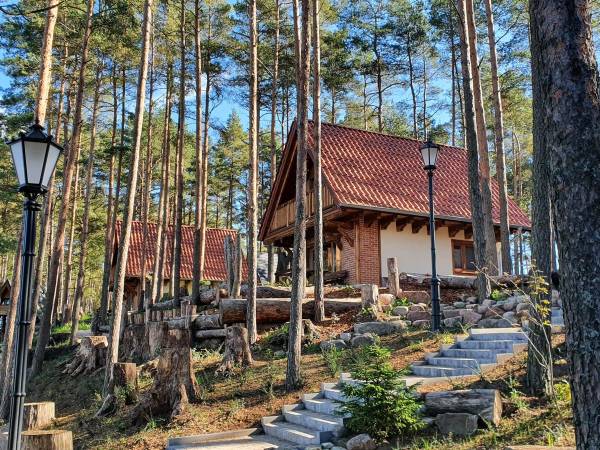 Osada Swory - domki w lesie