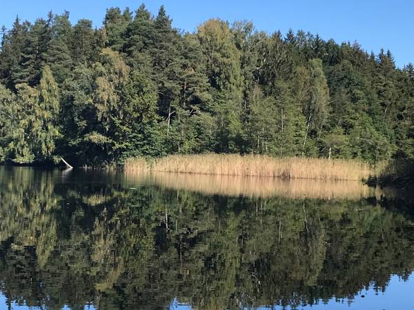 Domki Mazurski Zakątek