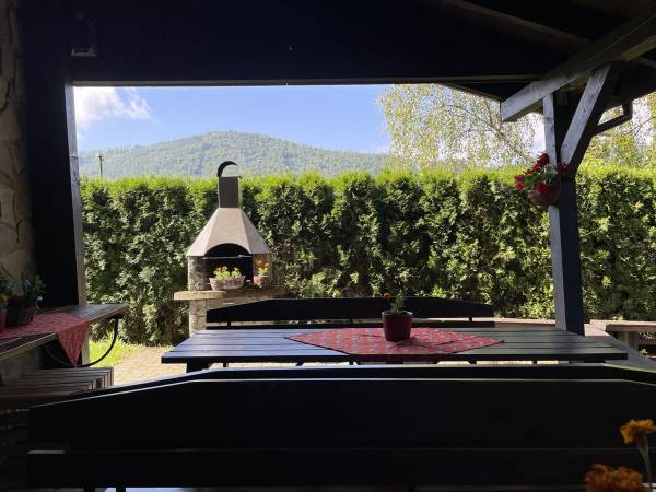 Sasanka przy Gondoli