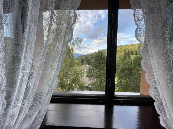 Sasanka przy Gondoli