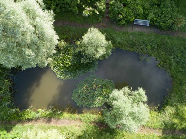 Leszczynowa Górka-Mazurskie Siedlisko w Silcu