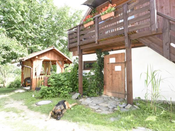 Leszczynowa Górka-Mazurskie Siedlisko w Silcu