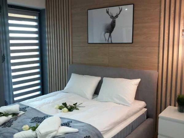 Apartament K6 Białka Tatrzańska