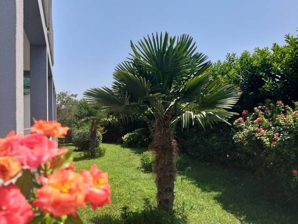 Enelani Apartamenty - tuż obok Trogiru!