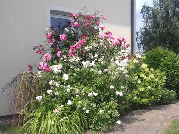 Domki i Apartamenty Kapitańskie, obiekt z prywatnym polem do Mini Golfa