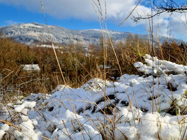 Apartament Mountains Góry Sowie