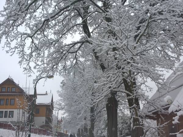 Apartamenty Połoniny