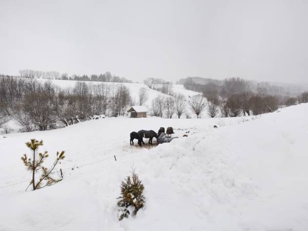 Domki w Bieszczadzkiej Dolinie