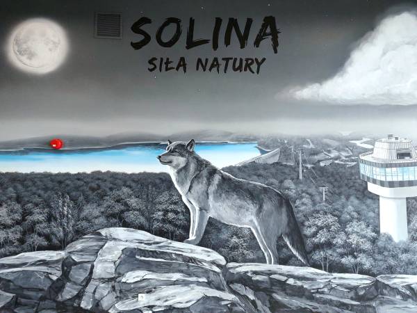 KOLEJKA OBOK DOMKÓW