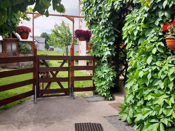 Agroturystyka w Dolinie