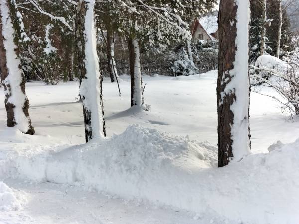Domek całoroczny pod Bieszczadzkim Aniołem