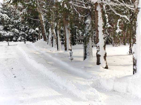Domek całoroczny pod Bieszczadzkim Aniołem