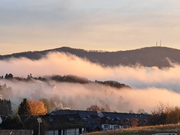 Widok jesienią 2022