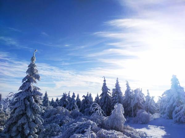 Domki Cisza i Spokój