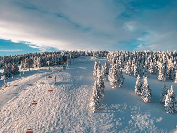 Domki Cisza i Spokój