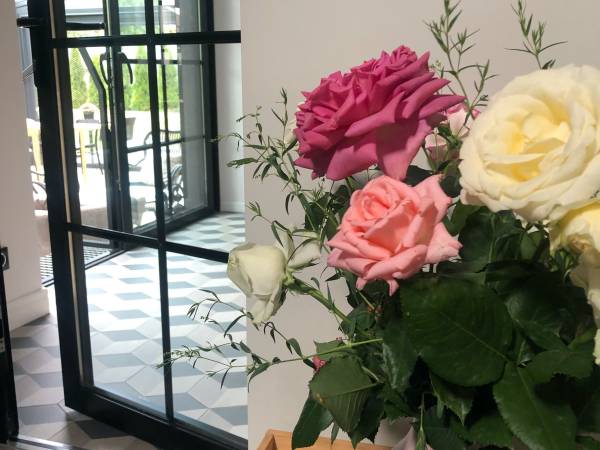 Willa Magnolia - Apartamenty I Pokoje