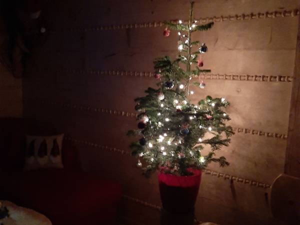 Osada Stasiowe Chaty Kamienica