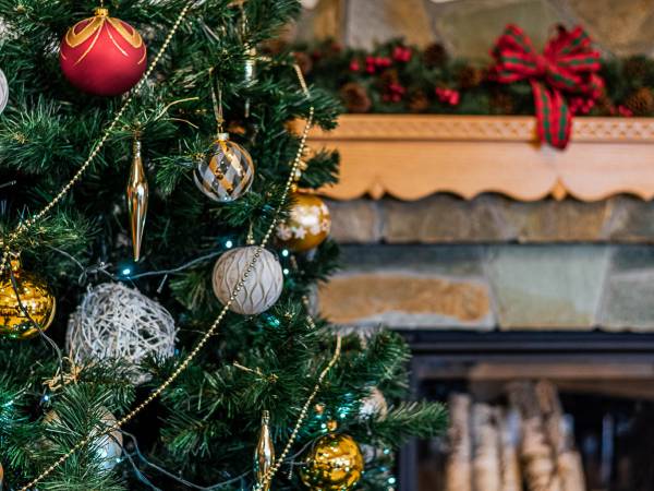 Pensjonat Willa Pienińska