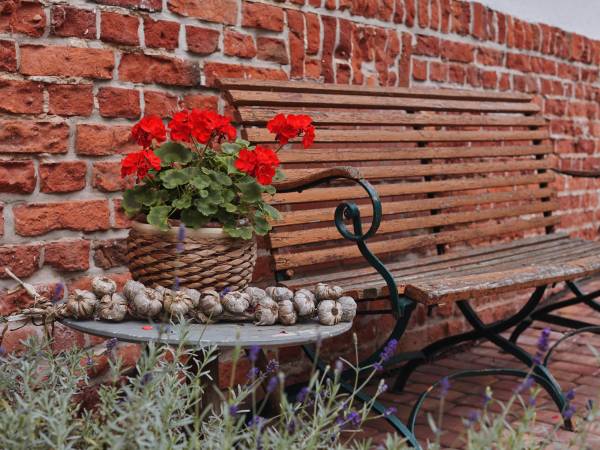 Agroturystyka Muszkiet